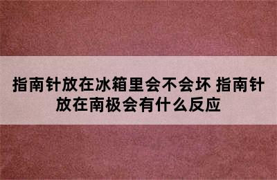 指南针放在冰箱里会不会坏 指南针放在南极会有什么反应